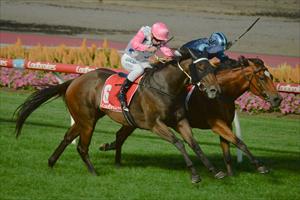 Algadon Miss wins her 2nd start for us, this time at Moonee Valley Feb 2019